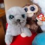 Cuddly toys - 5 Beanie Boo ty toys + dolphin Image 2