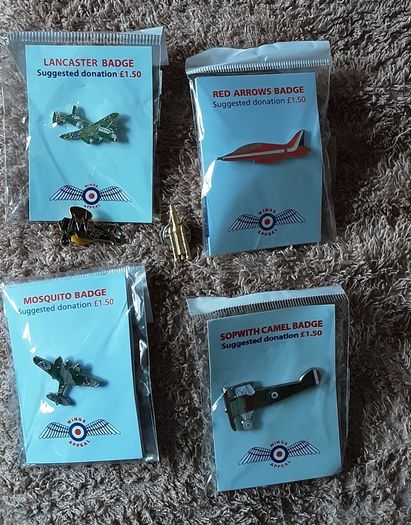 collectable lapel pins