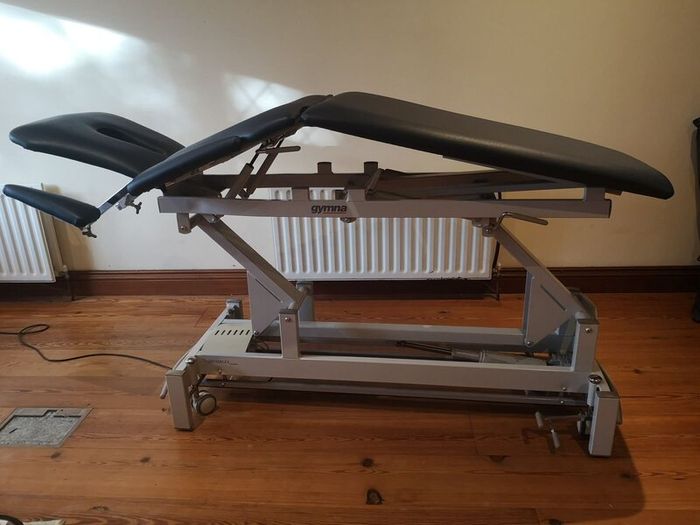 Professional treatment table