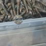 Brass screws used Image 4