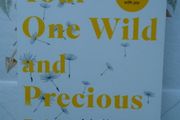 Paperback book, Self help books,Nonfiction,Your one wild and Precious life,Dr Maureen Gaffney