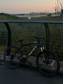 Carrera Vengeance 27.5 Inch Wheels