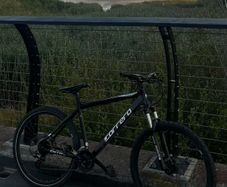 Carrera Vengeance 27.5 Inch Wheels