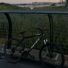 Carrera Vengeance 27.5 Inch Wheels