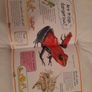 Children's fun fact book Image 4
