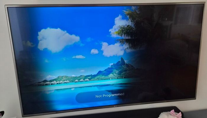 LG TV 55 inch for repair or parts
