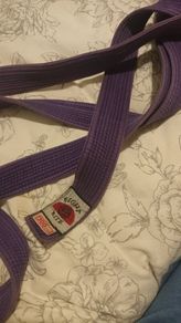 Purple belt martial arts