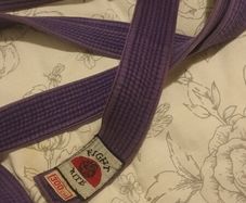 Purple belt martial arts