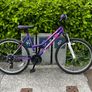 Women's Bike Image 3