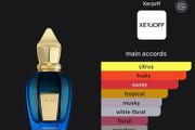 fragrances
