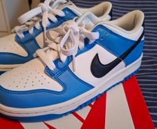 nike dunks