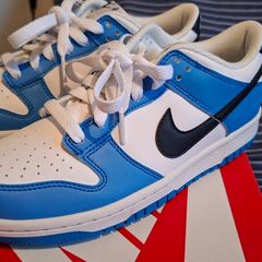nike dunks
