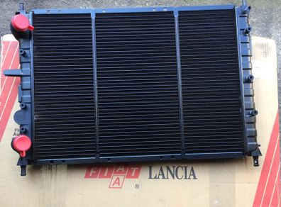 Radiator (Fiat Multipla)