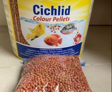 Tetra Cichlid Colour Fish food