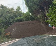 Top soil