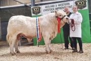 Carrick-on-Shannon Autumn Mixed Breed Show &amp; Sale