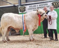 Carrick-on-Shannon Autumn Mixed Breed Show & Sale