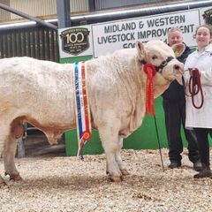 Carrick-on-Shannon Autumn Mixed Breed Show & Sale