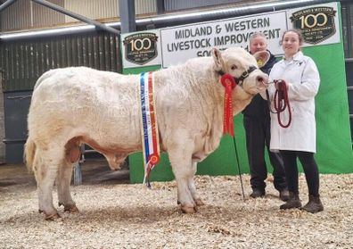 Carrick-on-Shannon Autumn Mixed Breed Show & Sale