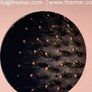 Boar hair brush Image 3