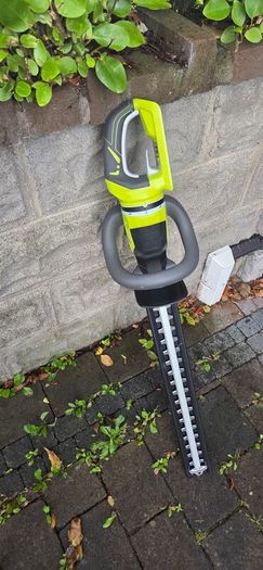 Ryobi hedge