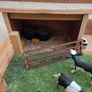 Toy model farm Image 4