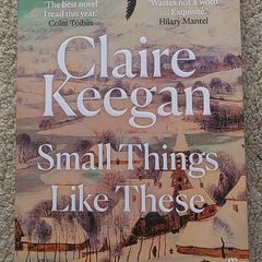 Small Things Like This novel