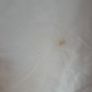 Dead Groom Costume Image 6