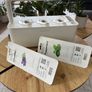 Smart Garden 3 Ready to Grow Image 4
