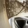 Honda Alloy Wheels Accord Civic Image 6