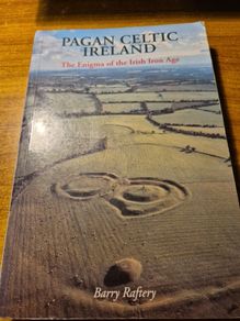 First Edition. Pagan Celtic Ireland. The Enigma of the Irish Iron Age. Barry Raftery.