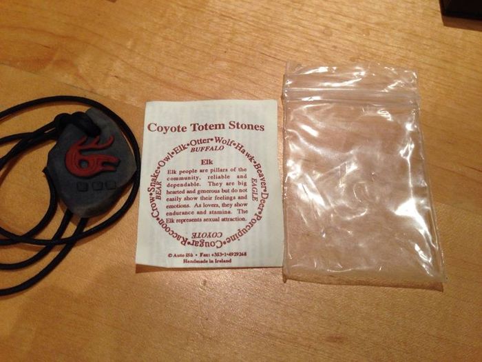 Coyote Totem Energy Stones Necklace