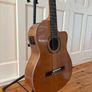 Ortega RCE159SN Electro Classical Guitar with Case Image 2