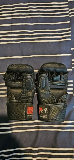 MMA Sparring Gloves