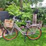 Gazelle  NL bicycle Image 9