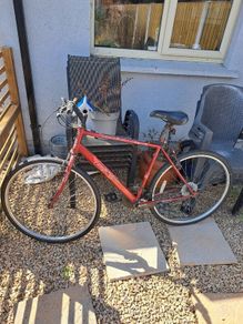 FREE Apollo Bike