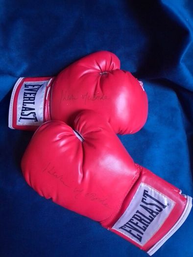 Autographed Kevin McBride Signed Everlast Boxing Gloves (Pair)