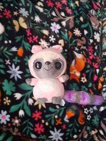 yoohoo racoon in pig costume