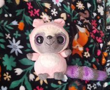 yoohoo racoon in pig costume