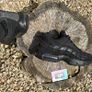 Nike Air Max 95 All Black Suede Leather Mesh Image 3
