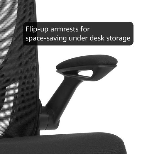 Home Office and Student chair (have 2)