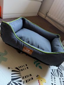 dog bed