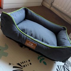 dog bed