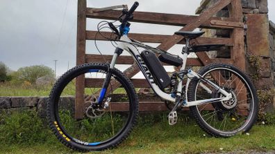 ebike ginat 55 km