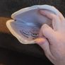 pocket bag Image 2
