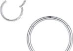 316L Surgical Steel Hinged Nose Rings Hoop Suptum Ring Body Piercing Lip Rings Helix Cartilage Rook Earrings 20G 18G 16G 14G 12G 10G 8G, Diameter 5mm to 16mm, Gold-Rose Gold-Silver-Black