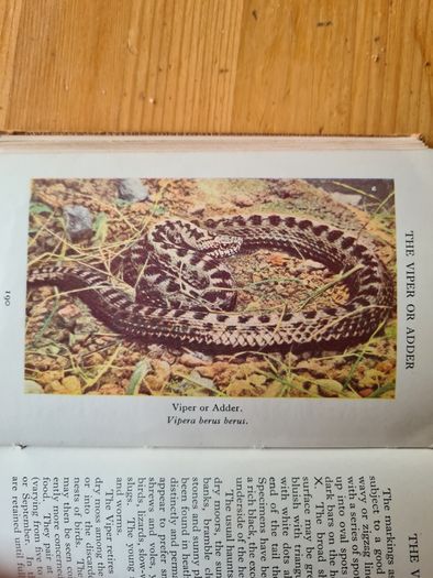 Observer's Book Of Wild Animals Of The British Isles.  Compiled By  W J Stoke.1.