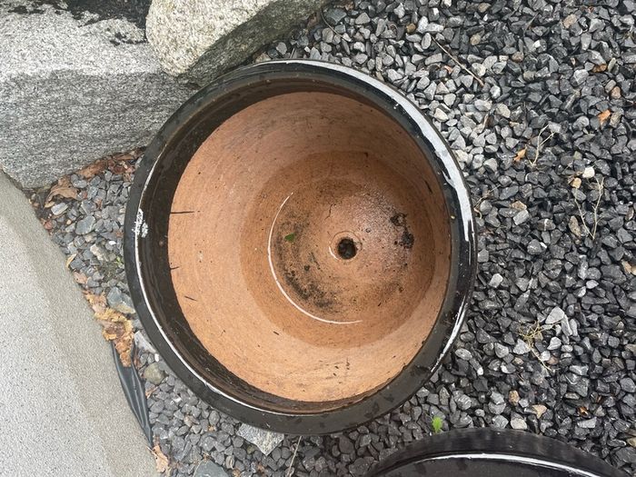 ceramic pot
