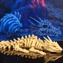 3D Printed Fully Articulating Dragon Skeleton Image 3