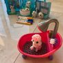 Washimals pet salon and bath sets Image 3